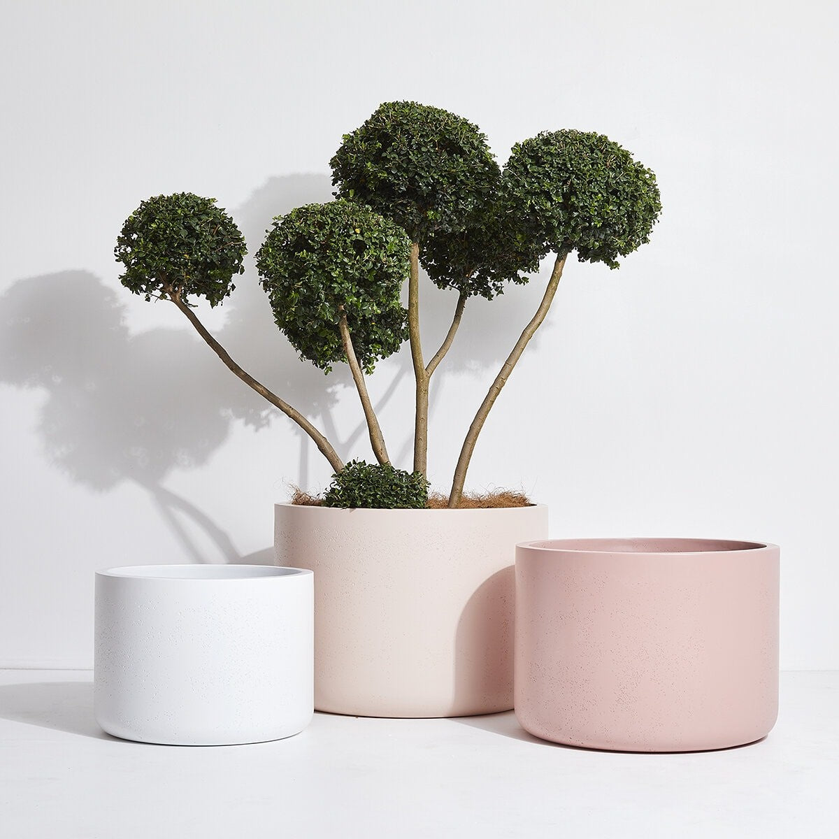 POTS & PLANTERS