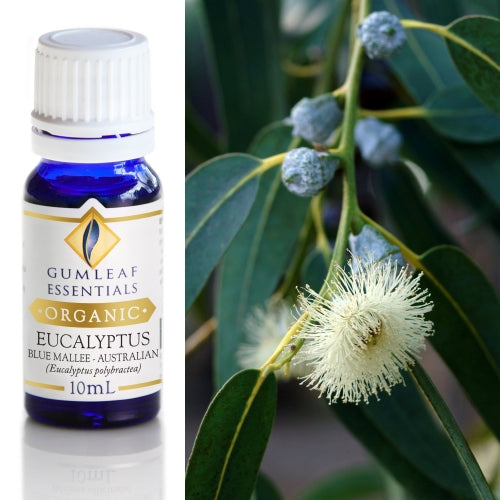 https://www.buckleyandphillips.com.au/productimages/thumbnails/2201.jpg