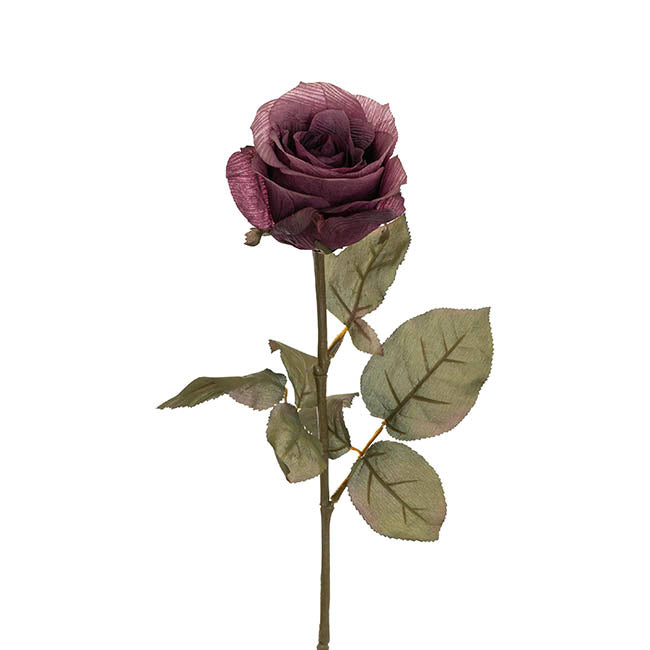 KENYA AUTUMN ROSE OPEN DEEP PURPLE (10CMD X 67CMH)