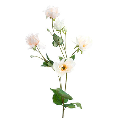 INAYA ANEMONE SPRAY CHAMPAGNE (95CMH)