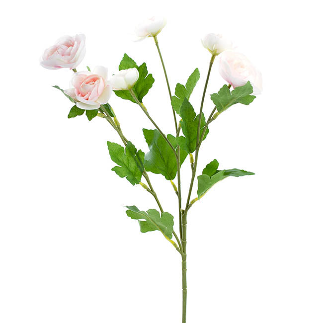 MINI RANUNCULUS SPRAY LIGHT PINK (67CMH)