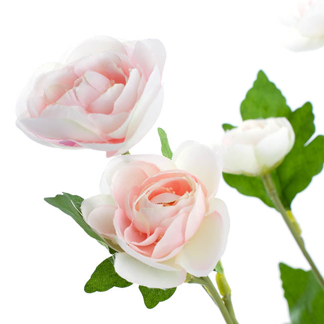 MINI RANUNCULUS SPRAY LIGHT PINK (67CMH)