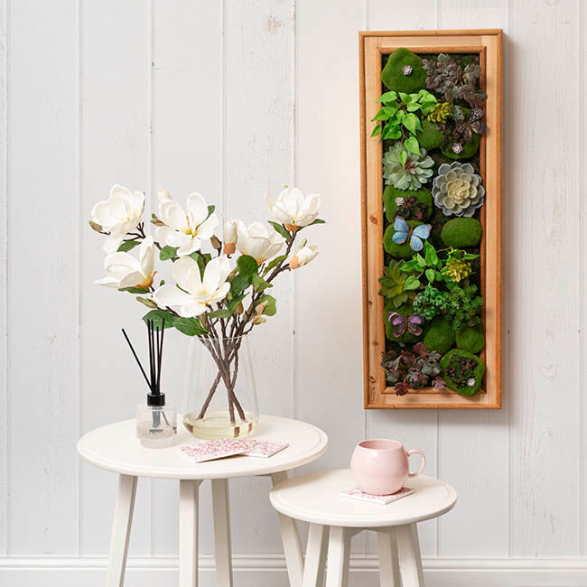 Decorative Succulent & Moss Wall Frame