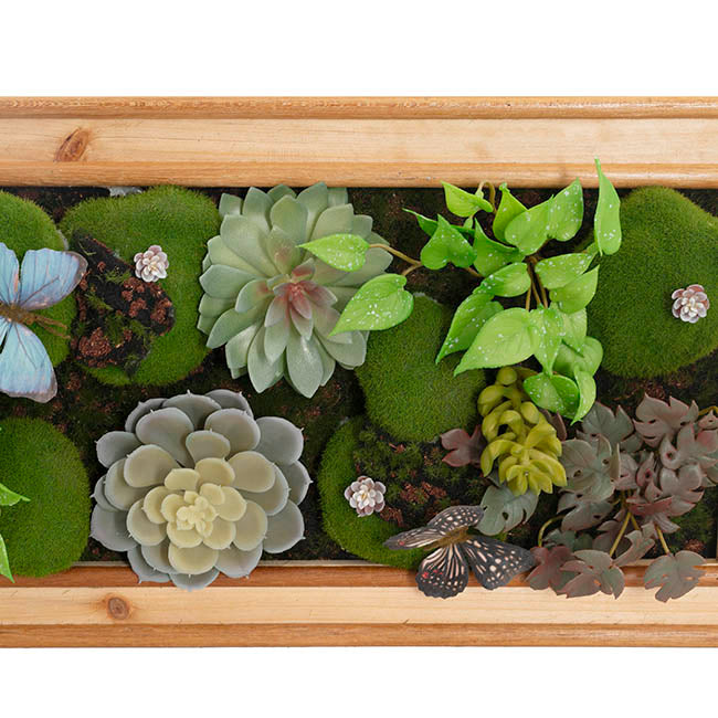 Decorative Succulent & Moss Wall Frame