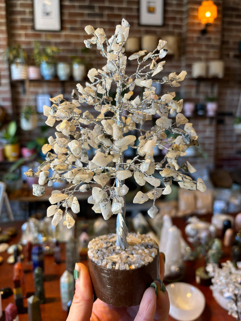 MOONSTONE CRYSTAL TREES