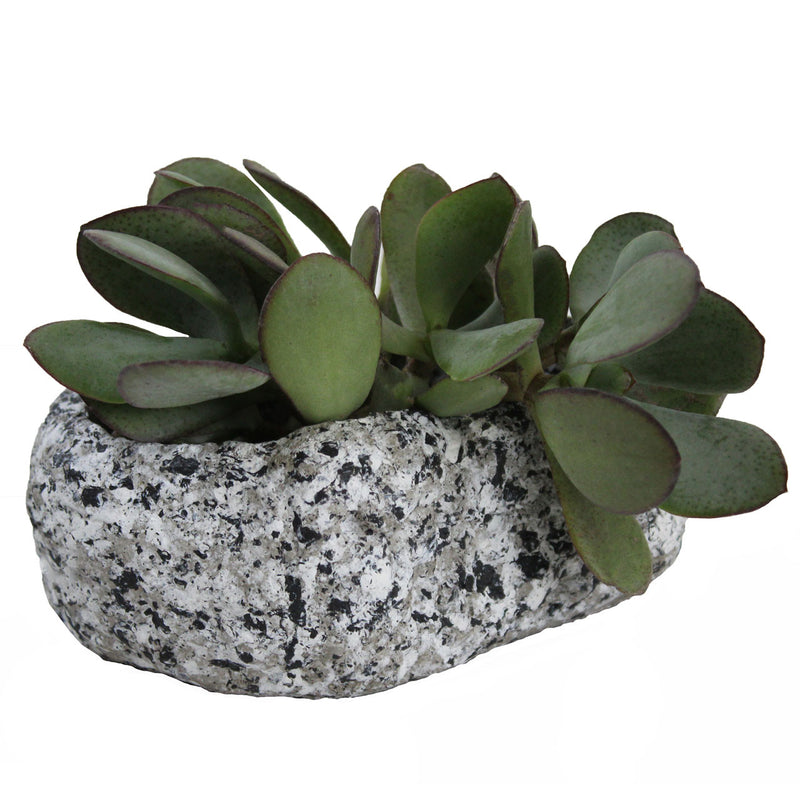 Dart Stone Bowl Planter