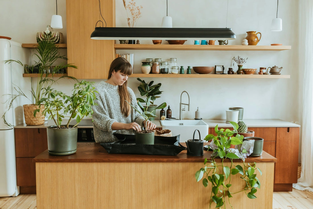 indoor apartment plants