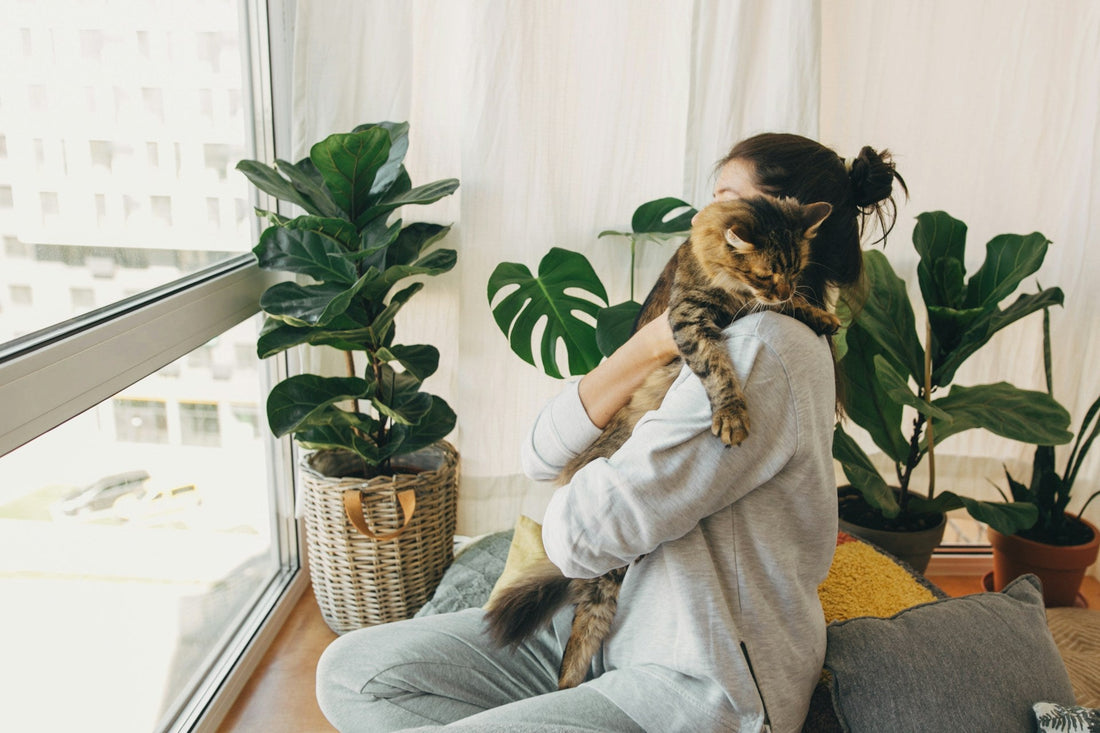 The Houseplant Shop Plant Hotel