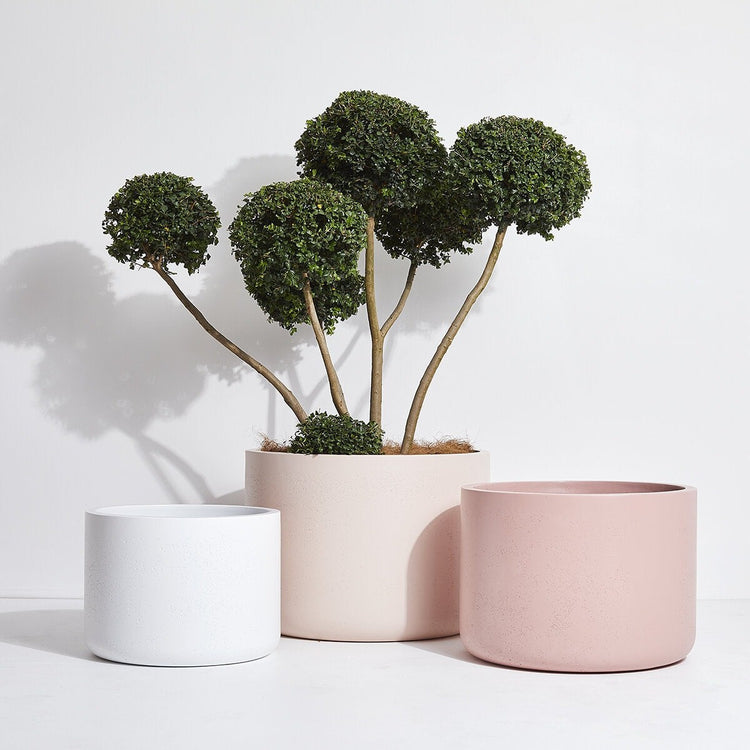 Grow Supports