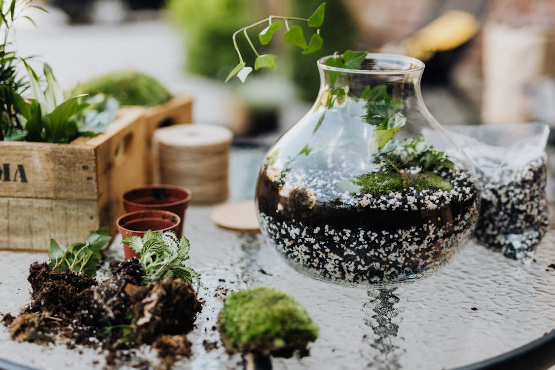 POTTING MEDIA