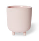 PIPER POT