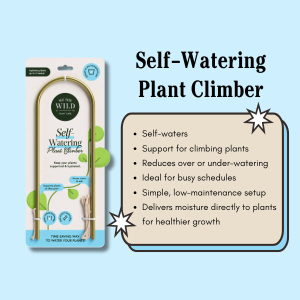 Self-Watering Plant Climber