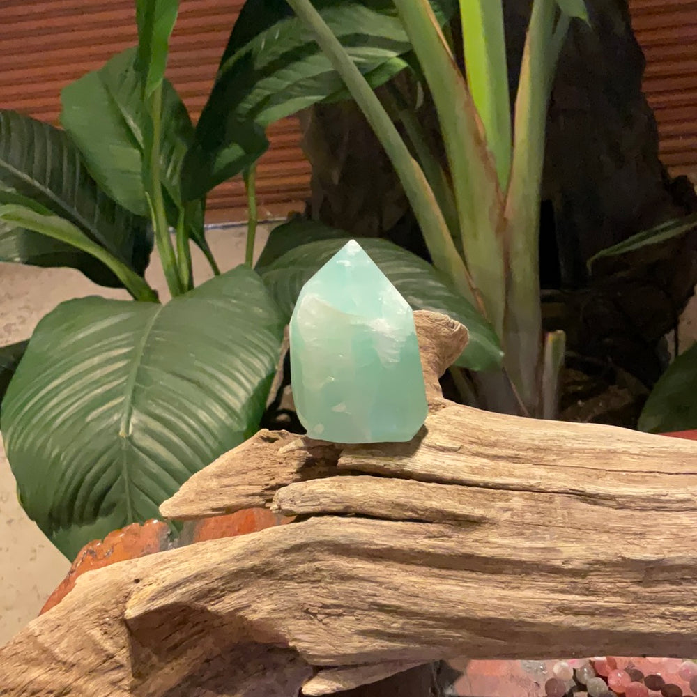 Green Fluorite Free Form