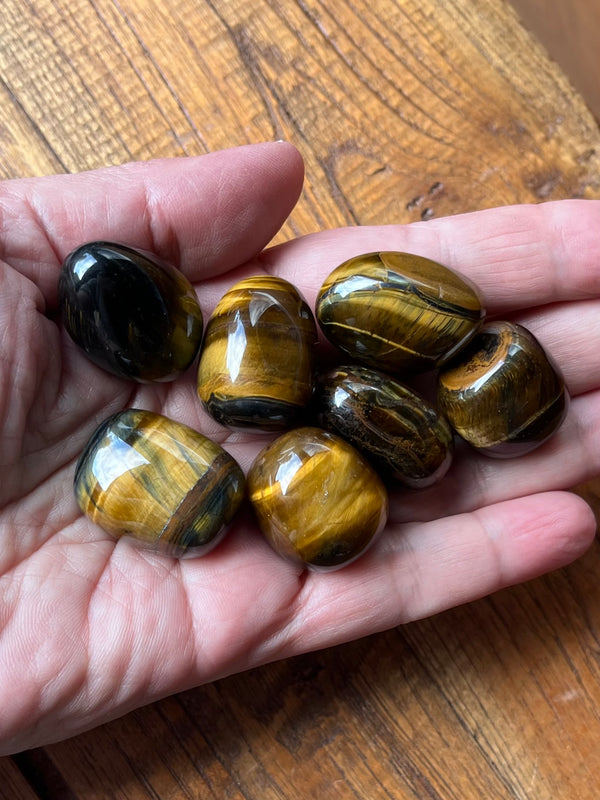 Tiger's Eye Tumbled Stone