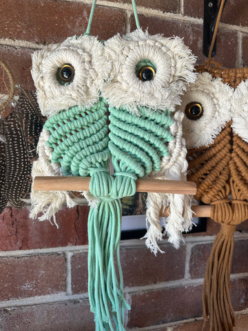 OWLET DREAMCATCHERS