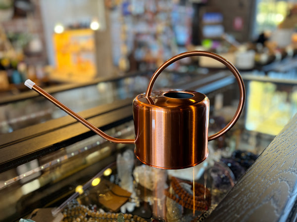 Stainless Steel Watering Can - Gold
