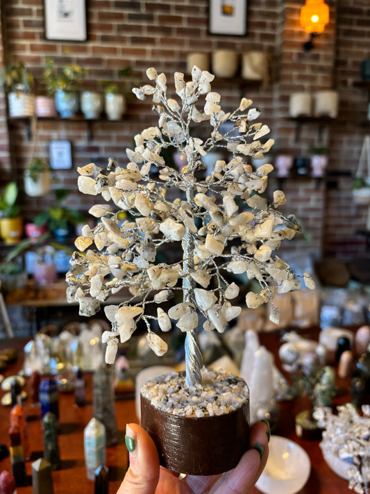 MOONSTONE CRYSTAL TREES