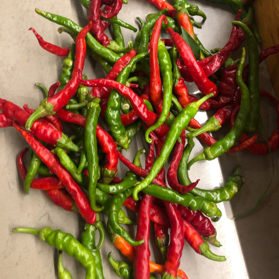 Cayenne Chilli Heirloom Seeds - Grow Your Own Spicy Treats