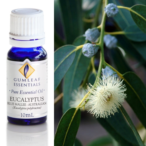 https://www.buckleyandphillips.com.au/productimages/thumbnails/2125.jpg