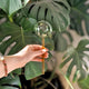 Self Watering Globe