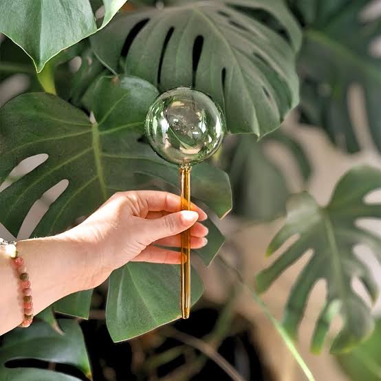 Self Watering Globe
