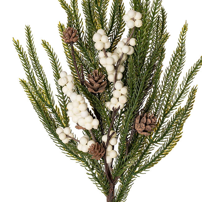 Weeping Spruce Pine Spray w Berries Green 62cmH