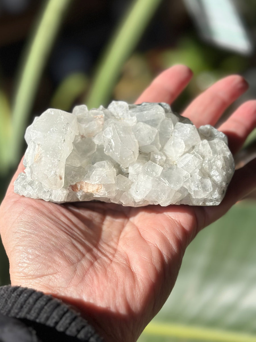 APOPHYLLITE CLUSTER