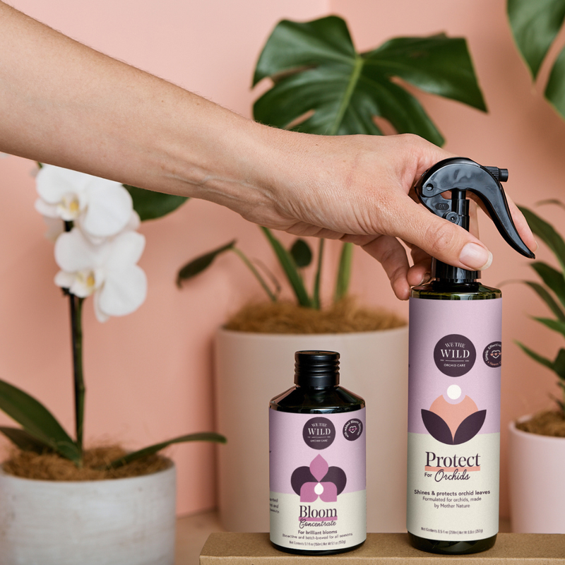 Orchid Care Duo
