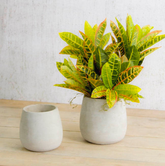 Cement Floral Egg Cup Round Pot Grey