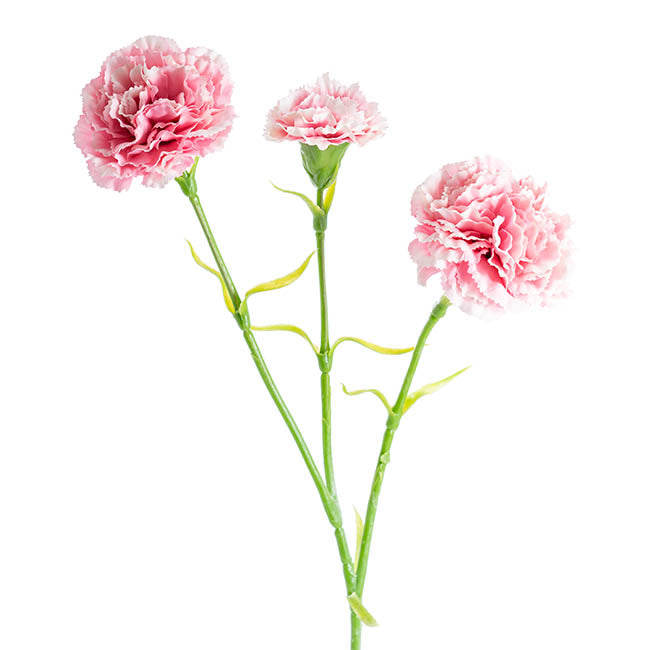 Carnation Ruffle 3 Head Spray Light Pink