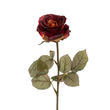 Kenya Autumn Rose Open Rustic Burnt Red 10cm x 67cm