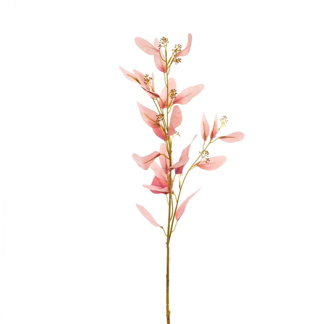 EUCALYPTUS SEEDED SPRAY DUSTY ROSE (72CMH)