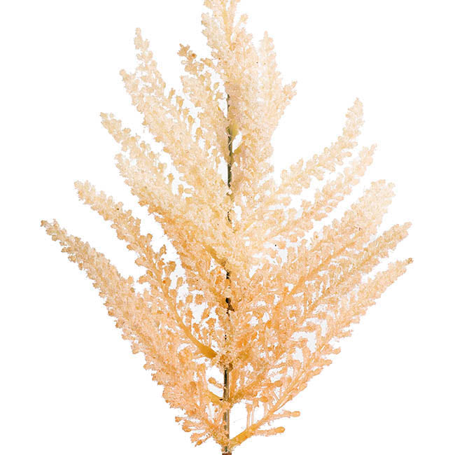 FERN SPRAY GRADATION ALMOND (71CMH)