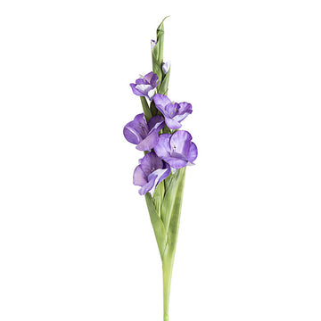 Real Touch Gladiolus x 5 Head Long Stem Purple