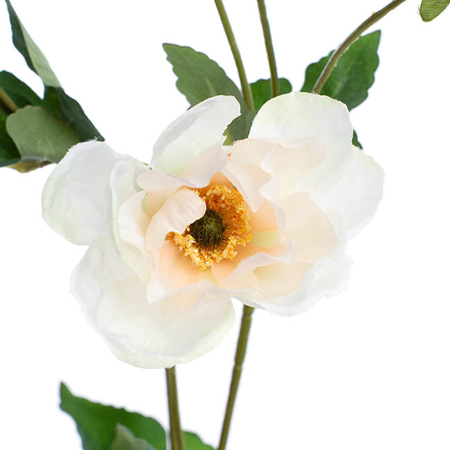 Inaya Anemone Spray Champagne 95cm
