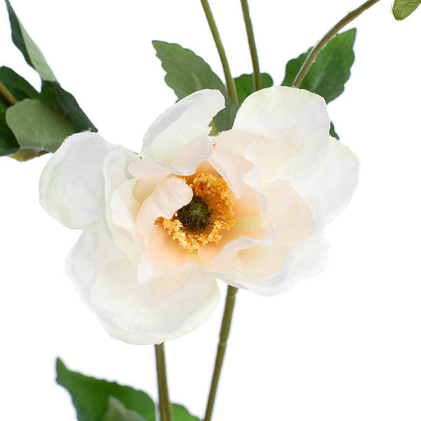 Inaya Anemone Spray Champagne 95cm