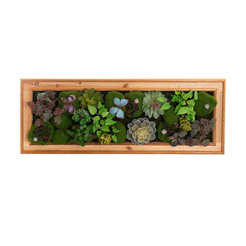 Decorative Succulent & Moss Wall Frame