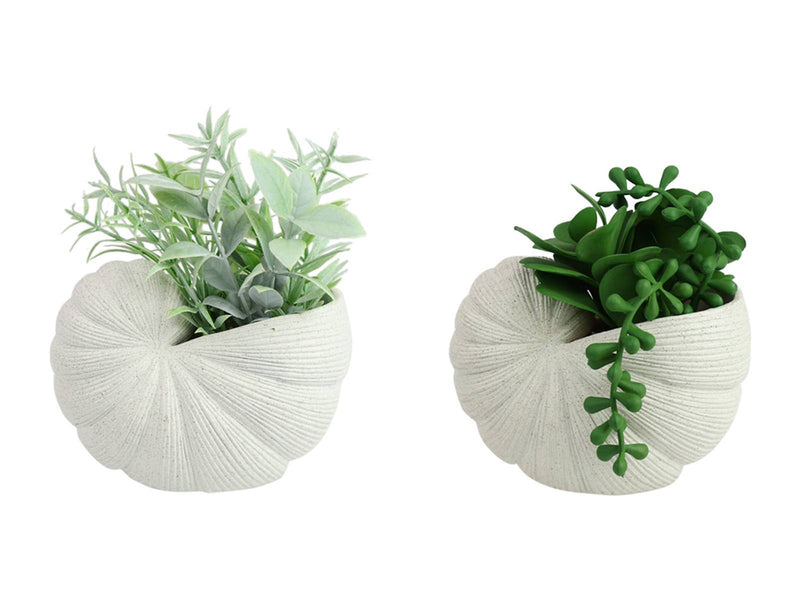 14cm Succulent In Shell Decor Vase