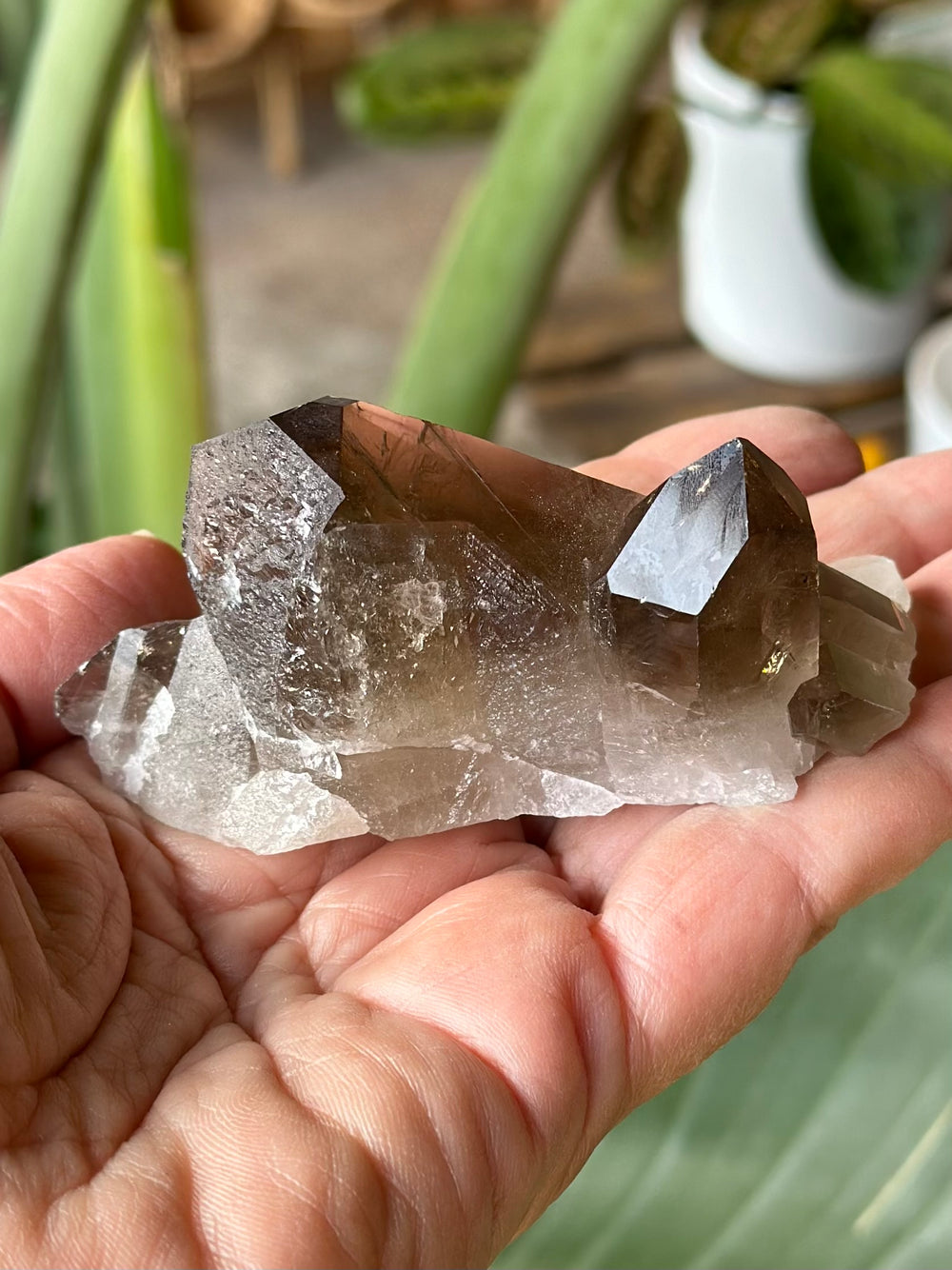 Smoky Quartz Rough Point Cluster