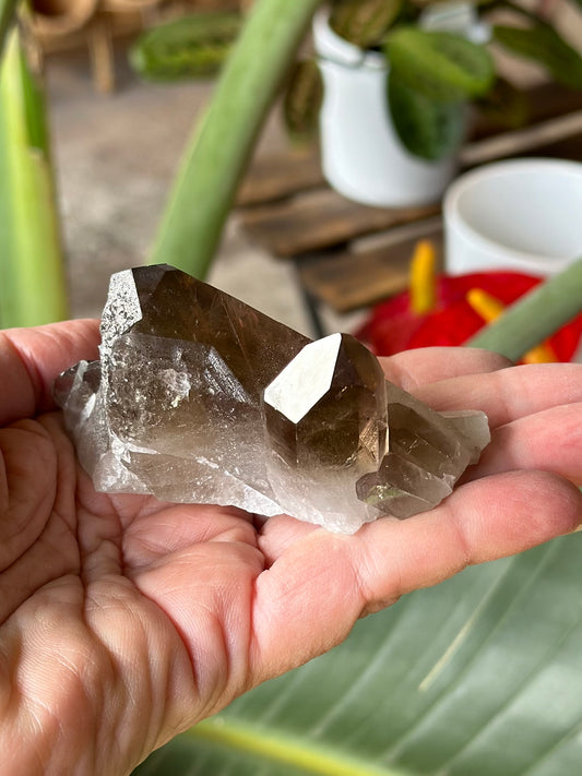 SMOKY QUARTZ ROUGH POINT CLUSTER 1