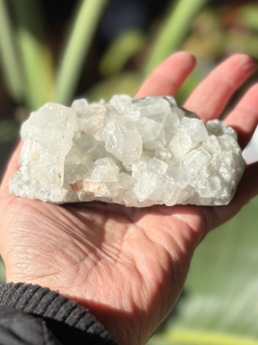 APOPHYLLITE CLUSTER