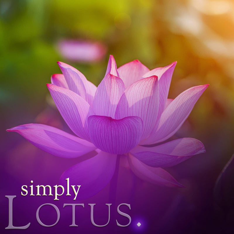 Lotus Room Spray