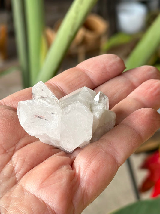 CLEAR QUARTZ  CLUSTER