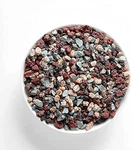 Premium Succulent & Cactus Mix