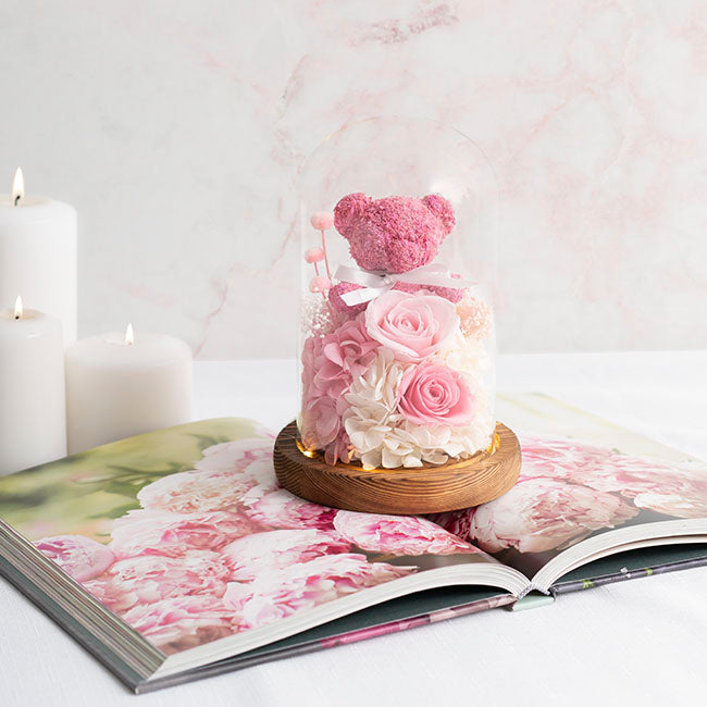 Preserved Rose Bear Hydrangea Cloche