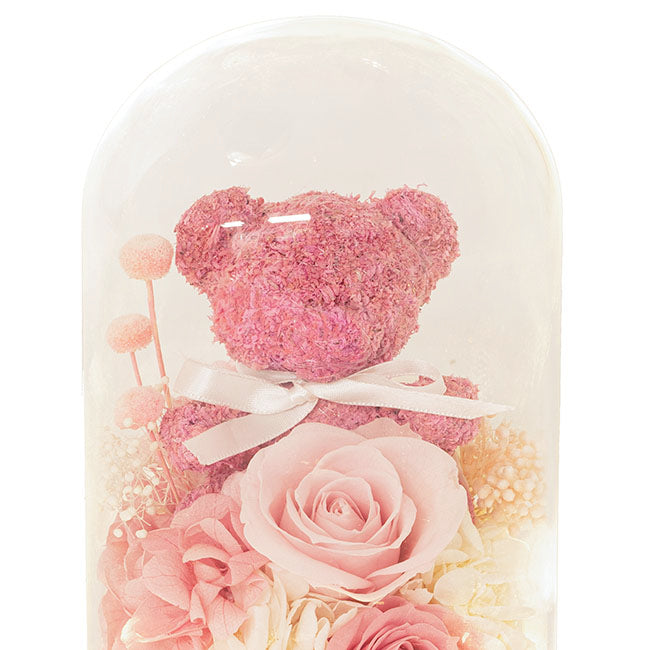 Preserved Rose Bear Hydrangea Cloche