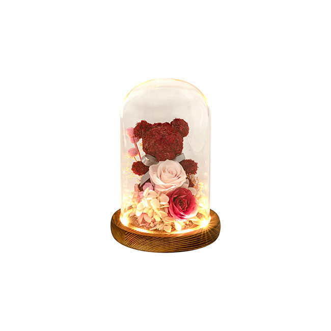 Preserved Rose Bear Hydrangea Cloche