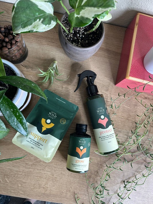 Red Essentials Retail Kit