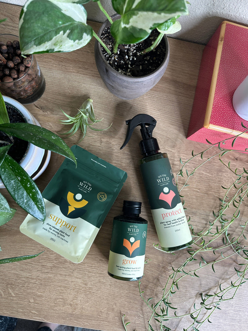 Santa Essential Plant Care Kit