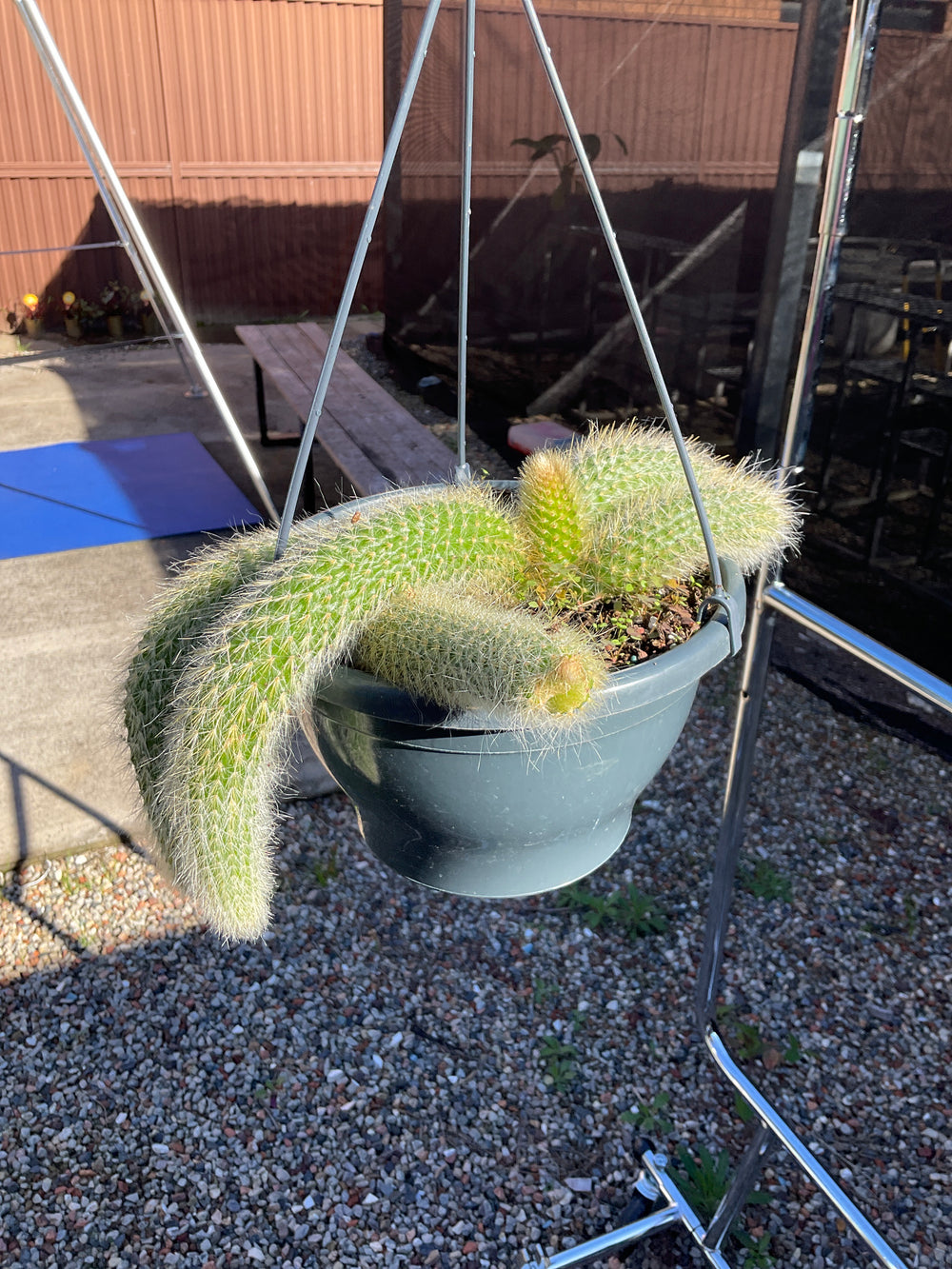 Hanging Monkey Tails 200mm
